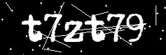 图形验证码
