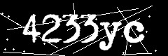 图形验证码