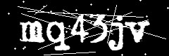 图形验证码