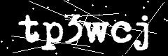 图形验证码