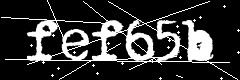 图形验证码