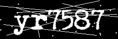 图形验证码