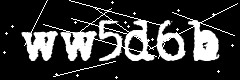 图形验证码