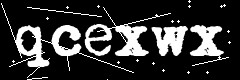 图形验证码