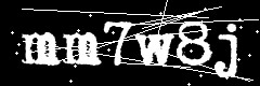 图形验证码